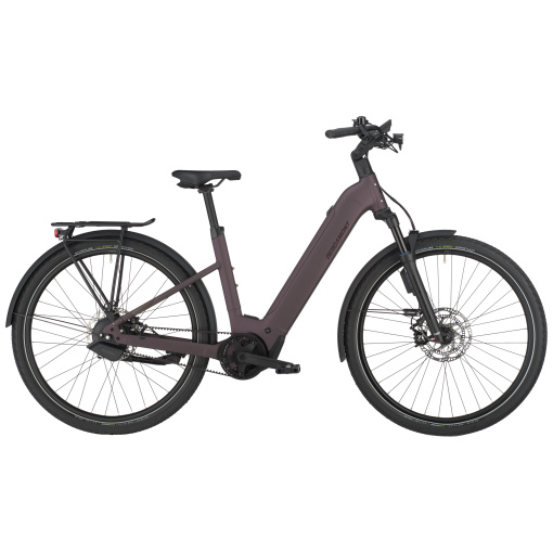 423651 E Horizon Tour 10 Belt Wave Dusky Purple
